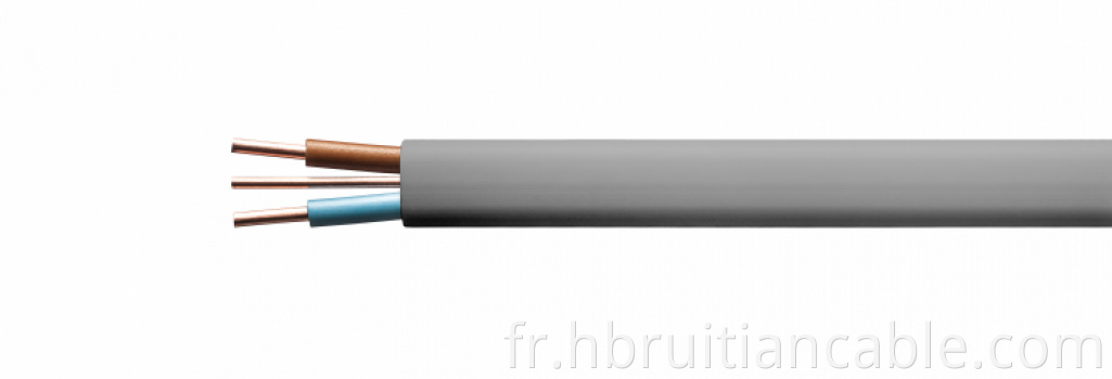 Câble de terre plate double 2 * 1 mm2 + E Copper Conducteur PVC PVC Câbles de fils électriques isolés et enrobés